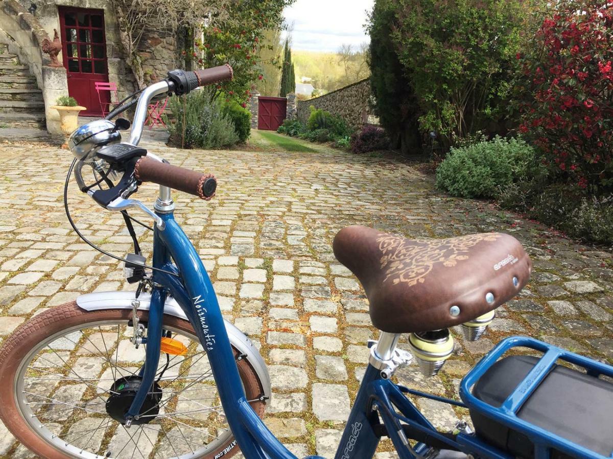 Manoir De La Groye Hotel Saint-Saturnin-sur-Loire Esterno foto